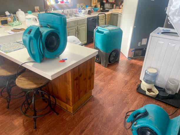 Best Mold removal after water damage  in St Paul, NE
