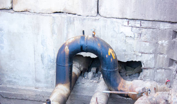 Best Basement water damage restoration  in St Paul, NE